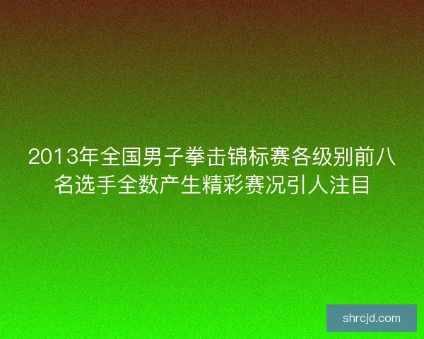 2013年全国男子拳击锦标赛各级别前八名选手全数产生精彩赛况引人注目 2013年全国男子拳击锦标赛各级别前八名选手全数产生精彩赛况引人注目