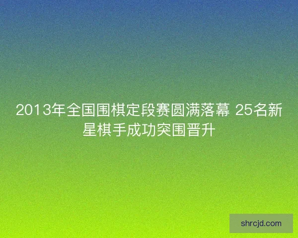 2013年全国围棋定段赛圆满落幕 25名新星棋手成功突围晋升