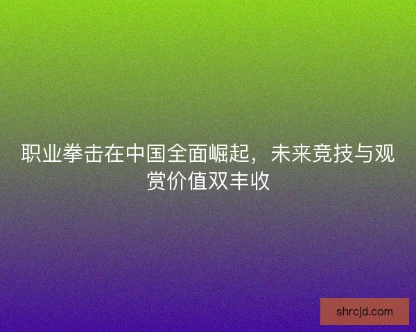职业拳击在中国全面崛起，未来竞技与观赏价值双丰收