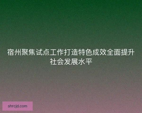 宿州聚焦试点工作打造特色成效全面提升社会发展水平 宿州聚焦试点工作打造特色成效全面提升社会发展水平